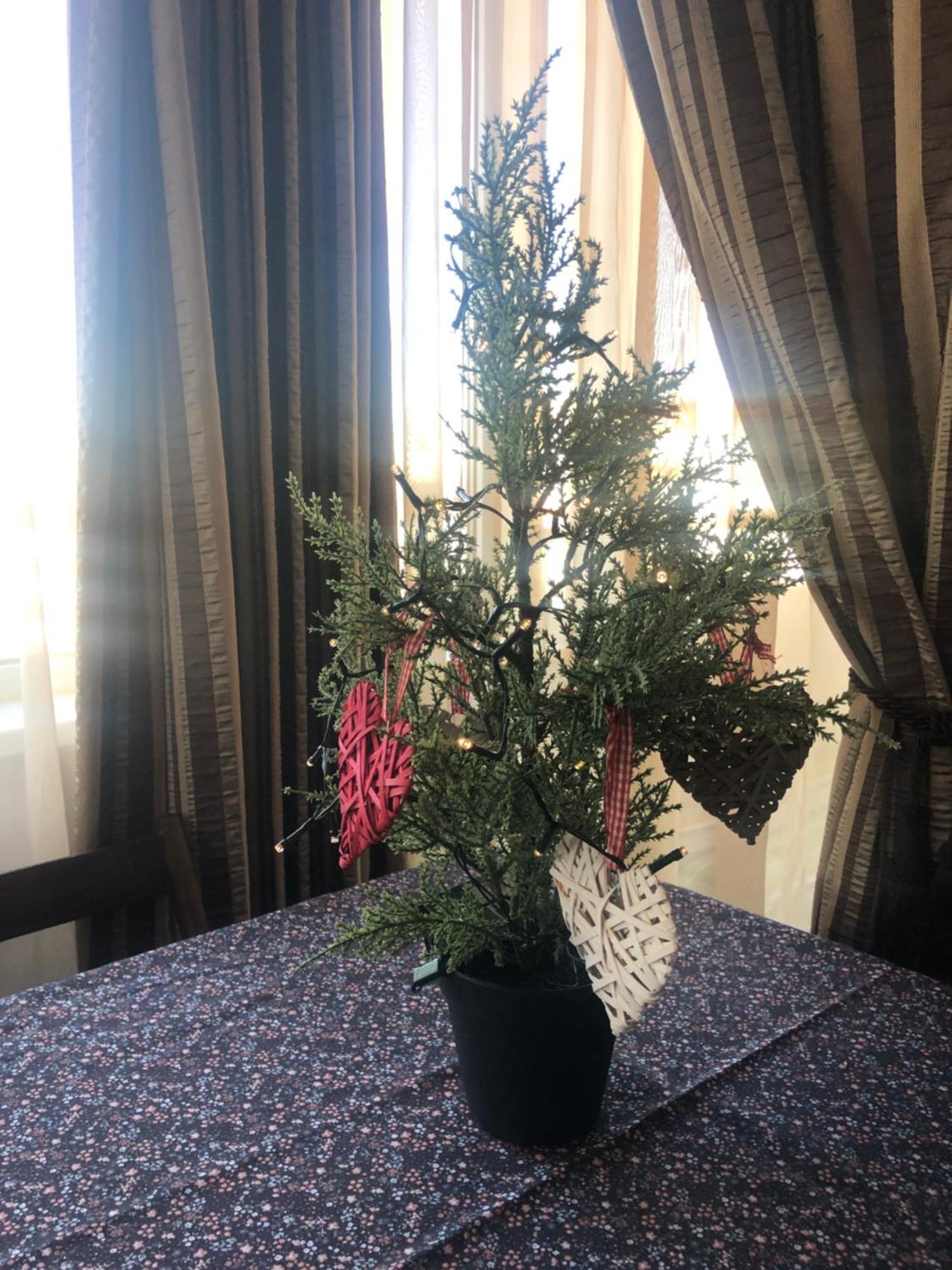 Family Retreat Politehnica Park Apartman Bukarest Kültér fotó